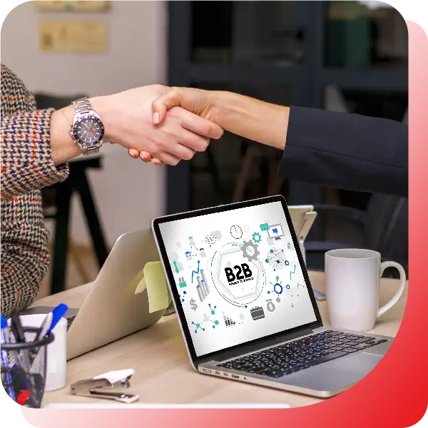 FlyingElephantDigital B2B-SEO