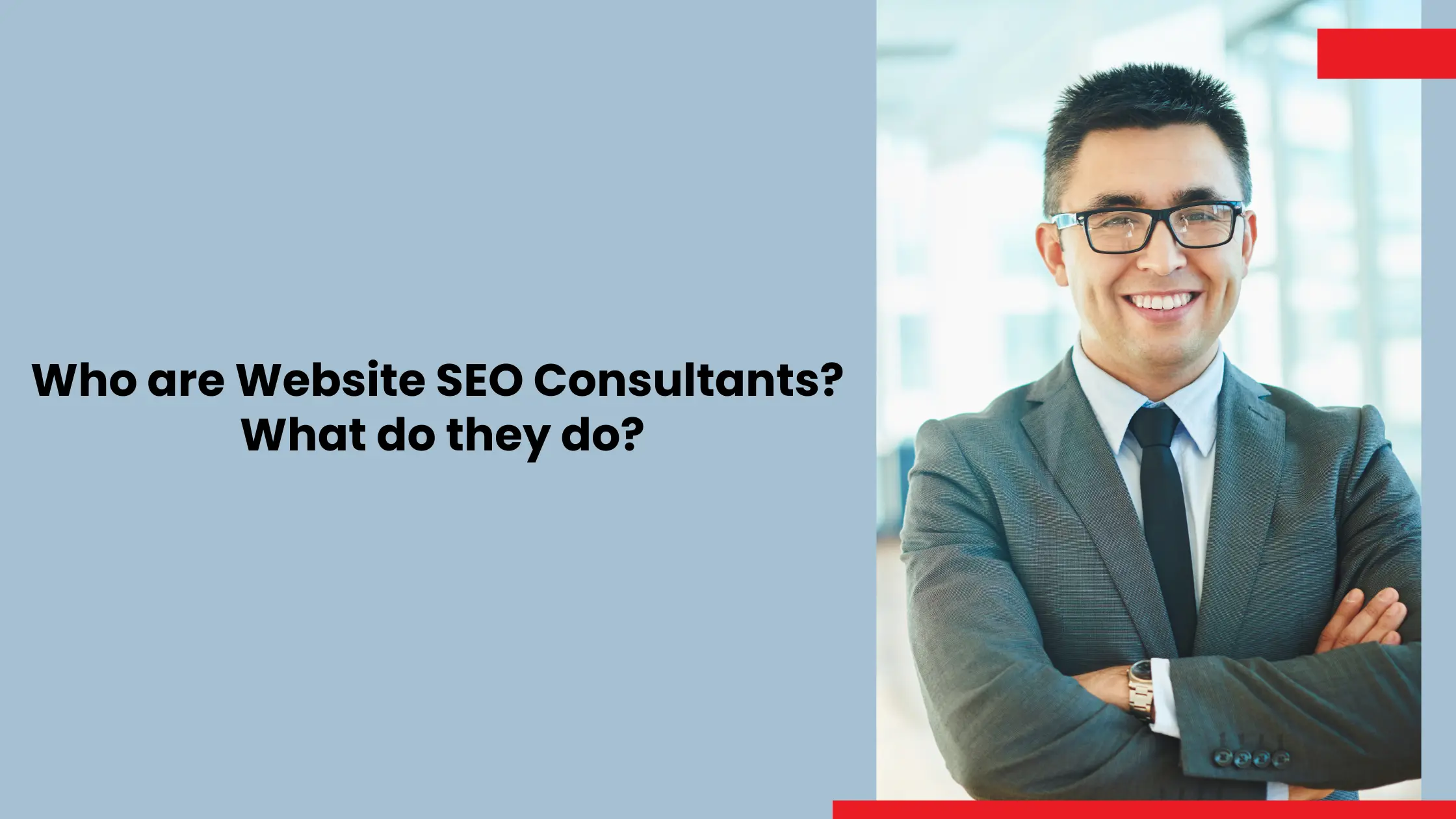 Who are Website SEO Consultants What do they do
